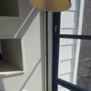 포켓불독 이미지