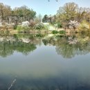 호암예술관 강당 이미지