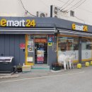 이마트 24 이미지