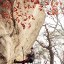 (개인)김춘희 이미지