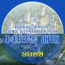 동탄역오피스텔공인중개사사무소 | 청계동 동탄역시범대원칸타빌 1453동 매매 대원파랑새공인중개사사무소