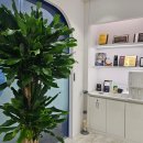 이상민치과의원 이미지