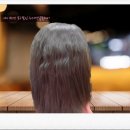 2008년 12월 05일 여자 레이이드 심한 악성곱슬머리 매직(샬롬헤어)