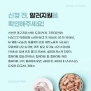 오션 캣 이미지