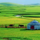 노독일처 이미지