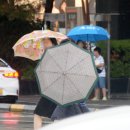 덕진-120 이미지