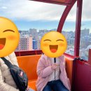 돌핀노래방 이미지