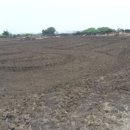 구좌읍사무소 이미지