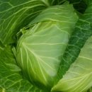 미영농장 이미지