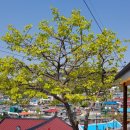 논골민박 이미지