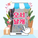 오시날개 이미지