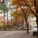 목화마을마당 물놀이장 네이버블로그