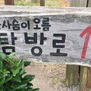 일오삼가든