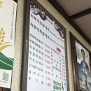 하루방보쌈 | [제주 보쌈 맛집] 하루방보쌈 | 그냥 살로몬 뒤에 있길래 갔는데 의문의 맛집? 운동 후 야무진 단백질충전