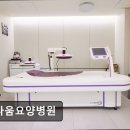 봄요양병원 | [서울 요양병원/추천/후기/가격] 다나움요양병원 암 환자 맞춤 전문 요양 서비스