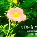 어사화