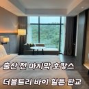 판교로(하탑로)(대로2-12) | 임산부 호캉스 후기 : 서울근교 5성급호텔 더블트리 바이 힐튼 서울 판교