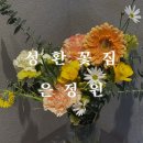 평택 옆동네 성환, 사계절 싱싱한 꽃다발 추천 ❁ཻུ۪ː͡❀ 은정원
