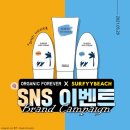 비치 이미지