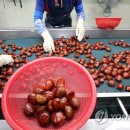 동충주농협 소태지점 이미지