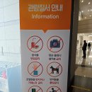 꾸미개 | 공주 가볼만한 곳, 국립공주박물관 어린이박물관 후기