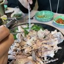 아구네포차 이미지
