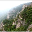 아리랑프라자 이미지