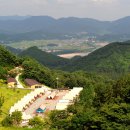 편백향기 이미지