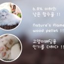 네이처스템