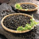 사랑방다슬기 이미지