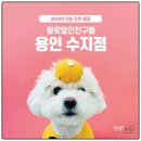 털로덮인 친구들 이미지