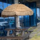 우도특별시 이미지