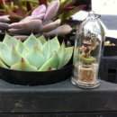 어양동사무소 이미지