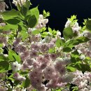 덕풍천동로 이미지