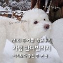 반디빌리지 | [공지] 가평 애견펜션 반디빌리지 MIKI만 2번째 2커플 방문기