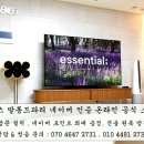발롱드파리 오브젝트6 하나로 화사하게 달라진 우리집 거실 인테리어