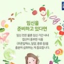 임산부 시기별 필수 영양제 엽산에 중요성에 대해서 이미지