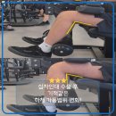 본마트(영등점) | 익산헬스장 어바웃피트니스 영등점, 십자인대 수술 후 기적같은 하체 가동범위의 변화!