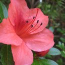 자전거도로 옆 이미지