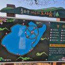 틀모산 도시숲 이미지