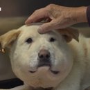 기민농장 이미지