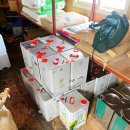 금강유통 이미지