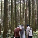 삼양세탁소 | [W - 제주 스냅] 제주 스냅 촬영후기(1) / 제주스냅작가추천 (frat. 제주도에서 가장 잘생긴 스냅 작가...