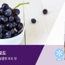 케이맘바 이미지