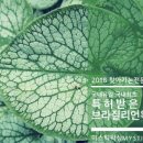 미스틱 왁싱