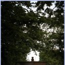 JK부동산공인중개사사무소 이미지