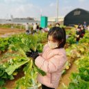 신용농장 이미지