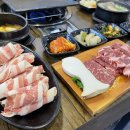 꽃소마루 이미지