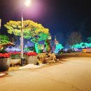 아일랜드 | ✨포천 허브아일랜드 후기｜동화 속 마을 같은 힐링 여행지