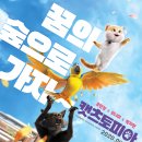 오마이캣츠 오마이뉴스
